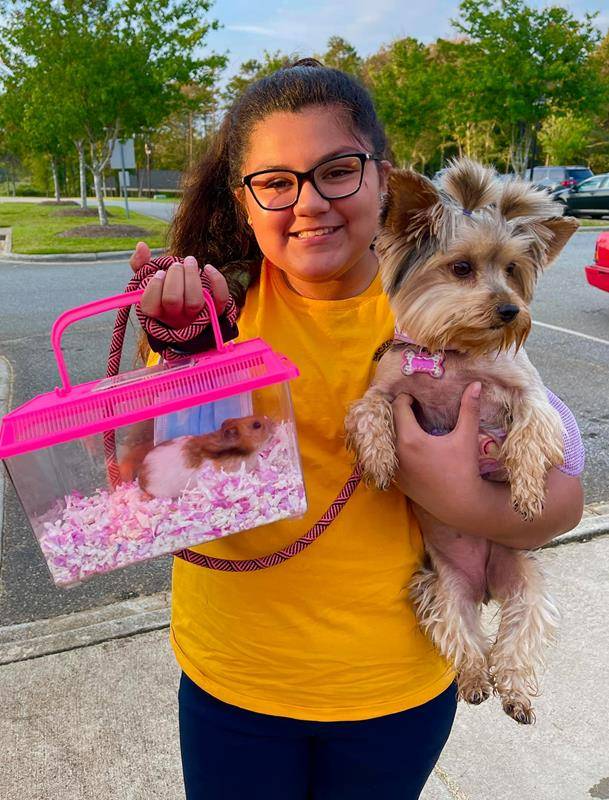 Sacred Heart Catholic School celebrated their Annual Blessing of the Animals in honor of the Feast Day of St. Francis on Oct 4th. St Francis of Assisi is the patron saint of animals, merchants and ecology.